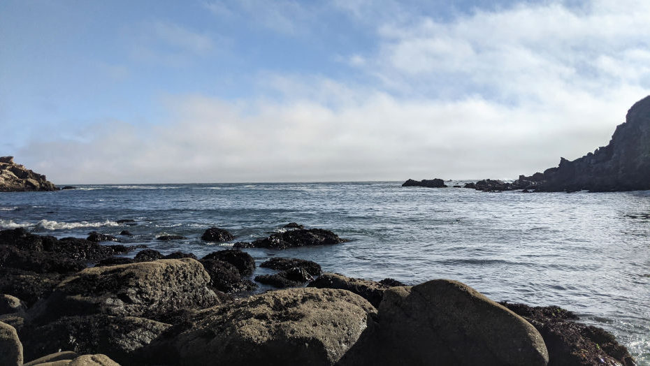 a view of the Sonoma West Cost Pacific from Salt Point State Park
